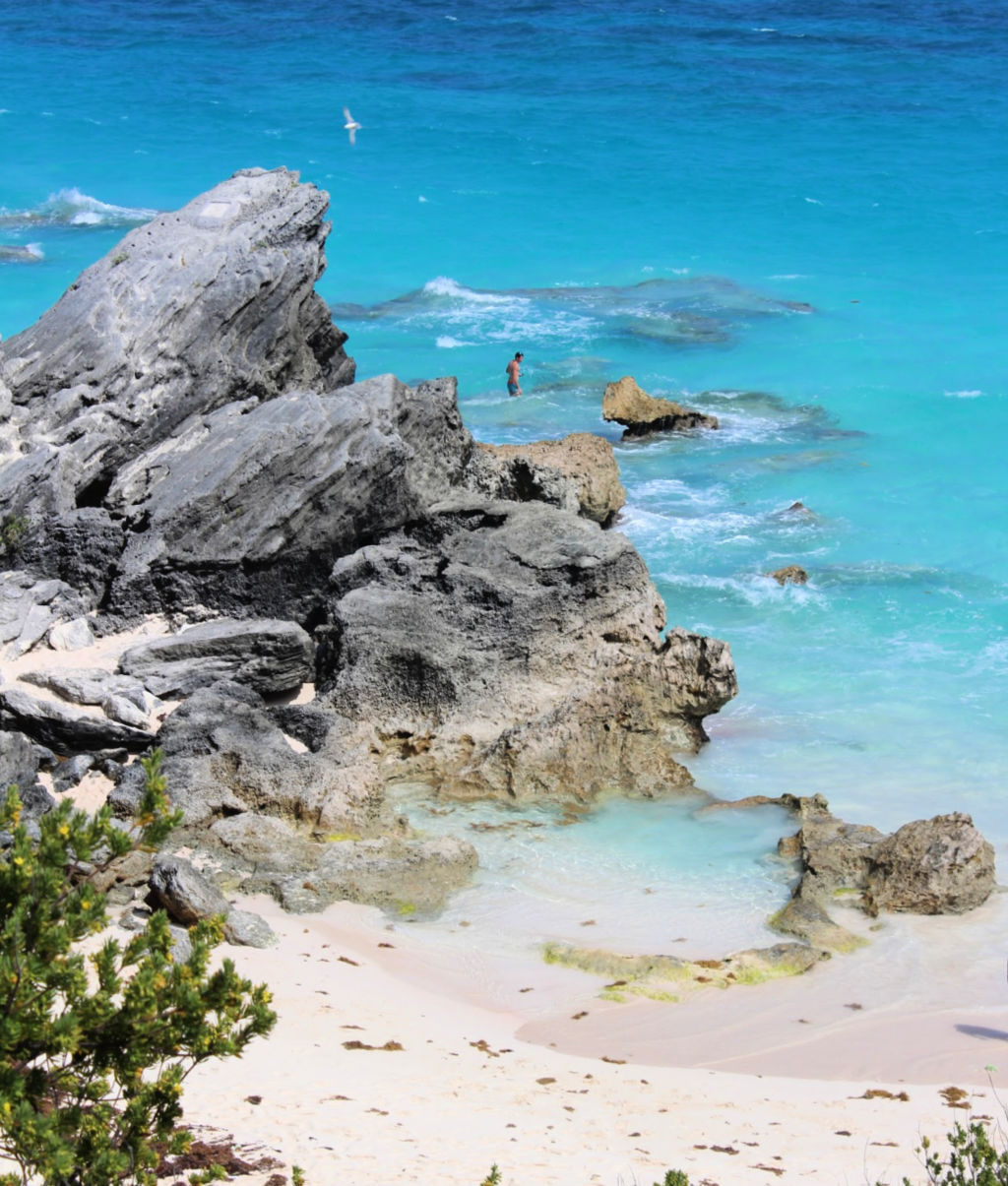 A Trail From Horseshoe Bay, Bermuda Reveals Surprises - thera-terra travel